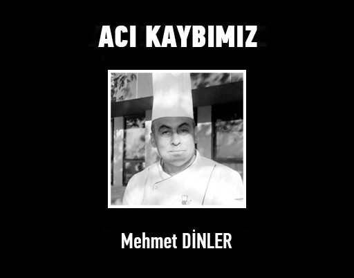 Mehmet Dinler WEB